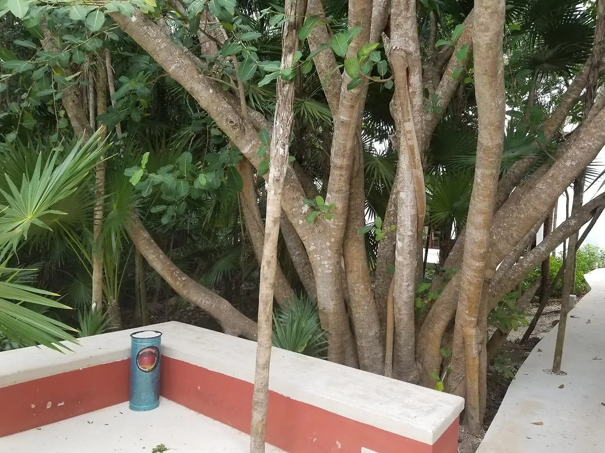 דירות אקומל Casa Azul